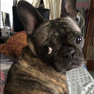 Meet your Posher, Casey